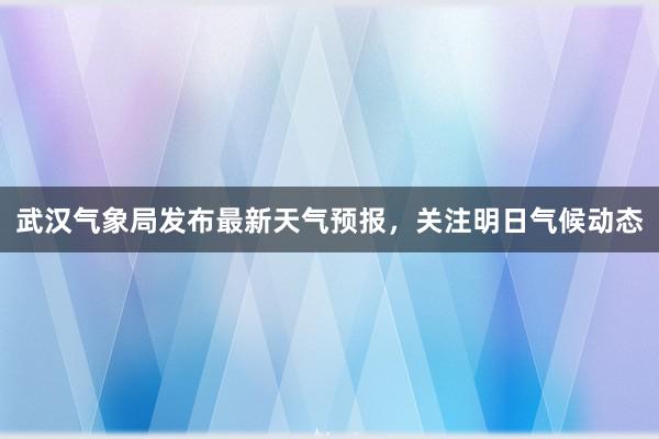 武汉气象局发布最新天气预报，关注明日气候动态